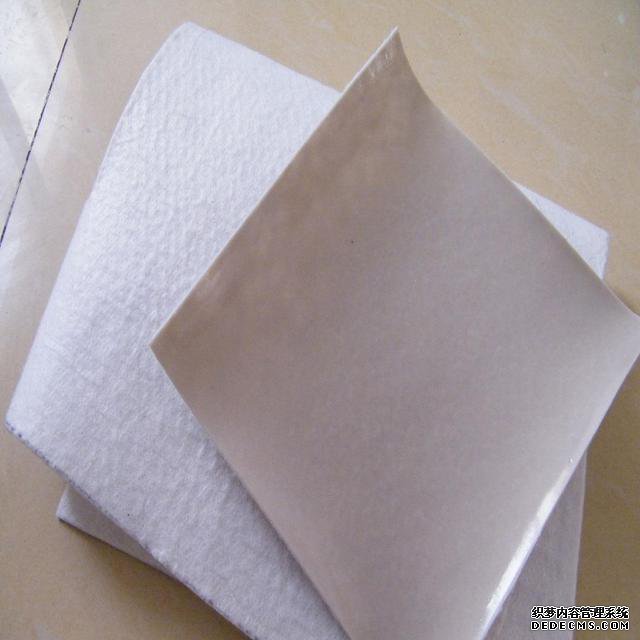 復合土工膜.jpg